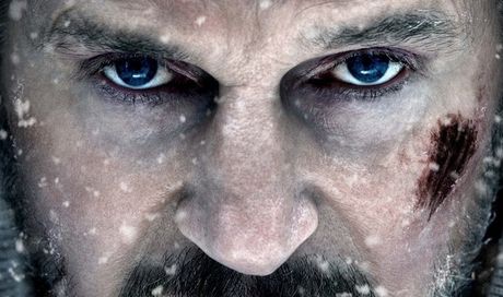 Stasera in tv su Rai 3: “The Grey” con Liam Neeson