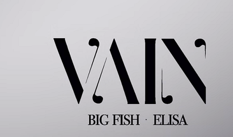Big Fish feat. Elisa, Vain: testo, traduzione e video