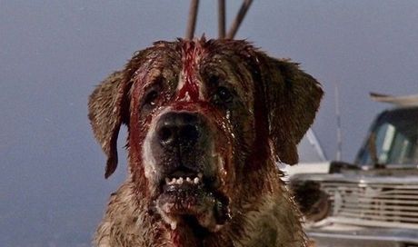 Cujo remake: annunciati titolo ufficiale, regista e protagonista