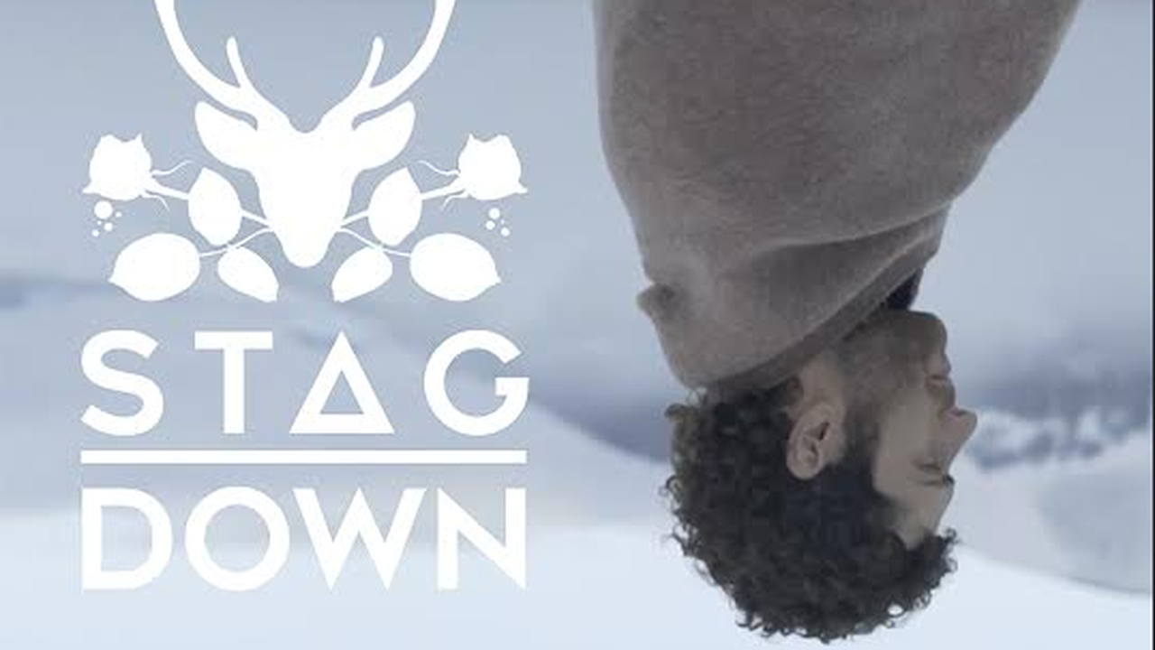Stag, Down: testo, traduzione e video ufficiale