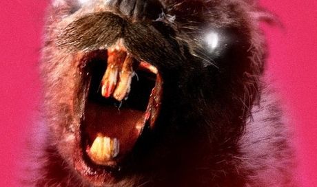 Zombeavers – nuovo trailer della commedia horror con castori zombie