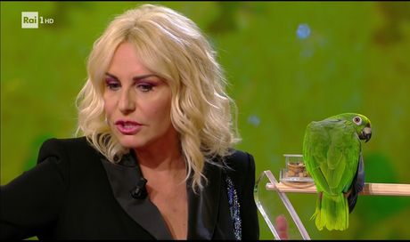 Antonella Clerici: “Portobello? Rifarlo è stato un errore”