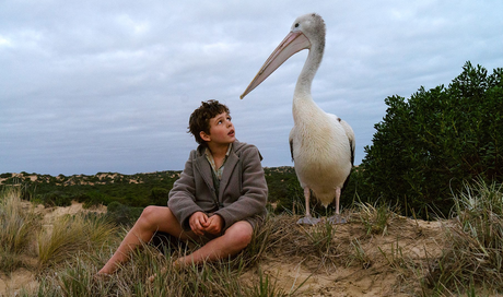 Stasera in tv: “Storm Boy – il ragazzo che sapeva volare” su Canale 5