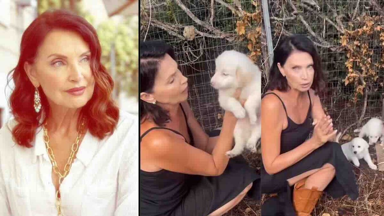 Casa a Prima Vista, Nadia Mayer quasi in lacrime. L’appello per i cuccioli abbandonati: “Ve li porto io a casa, vi prego, chiamatemi”