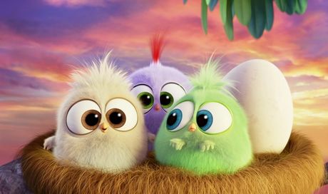 Angry Birds – Il Film (2016) di Fergal Reilly e Clay Kaytis
