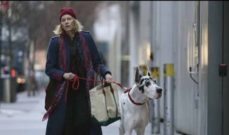 L’amico fedele con Naomi Watts, il film che travolge e emoziona