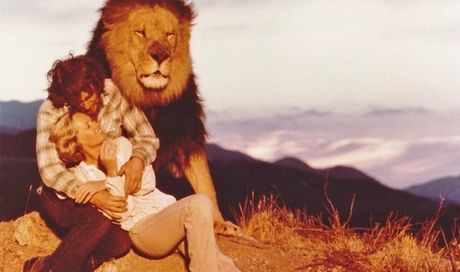 Il grande ruggito: il film con Melanie Griffith torna nei cinema americani