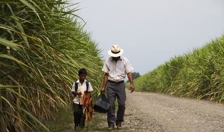 Un mondo fragile  (La tierra y la sombra – 2015)