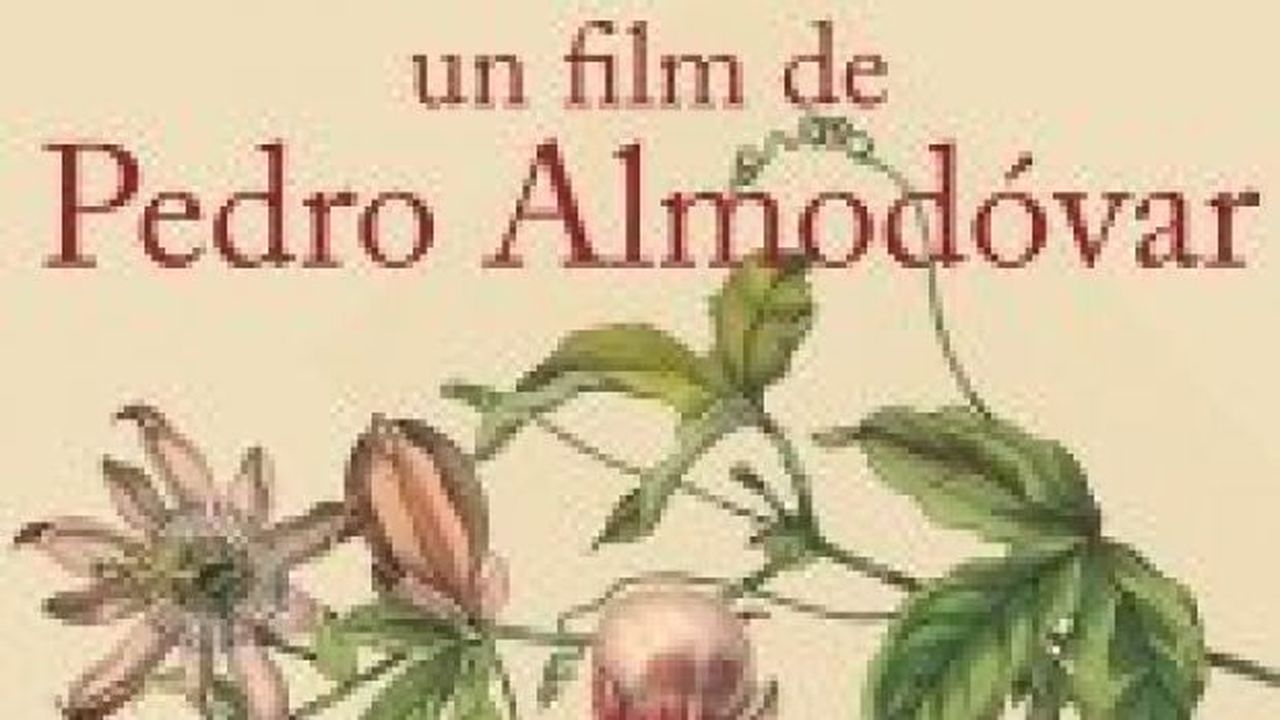 La pelle in cui vivo – La piel que habito di Pedro Almodovar a novembre in Italia