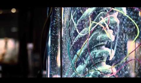 Jurassic World – Trailer italiano ufficiale – Al cinema dal 11/06/2015