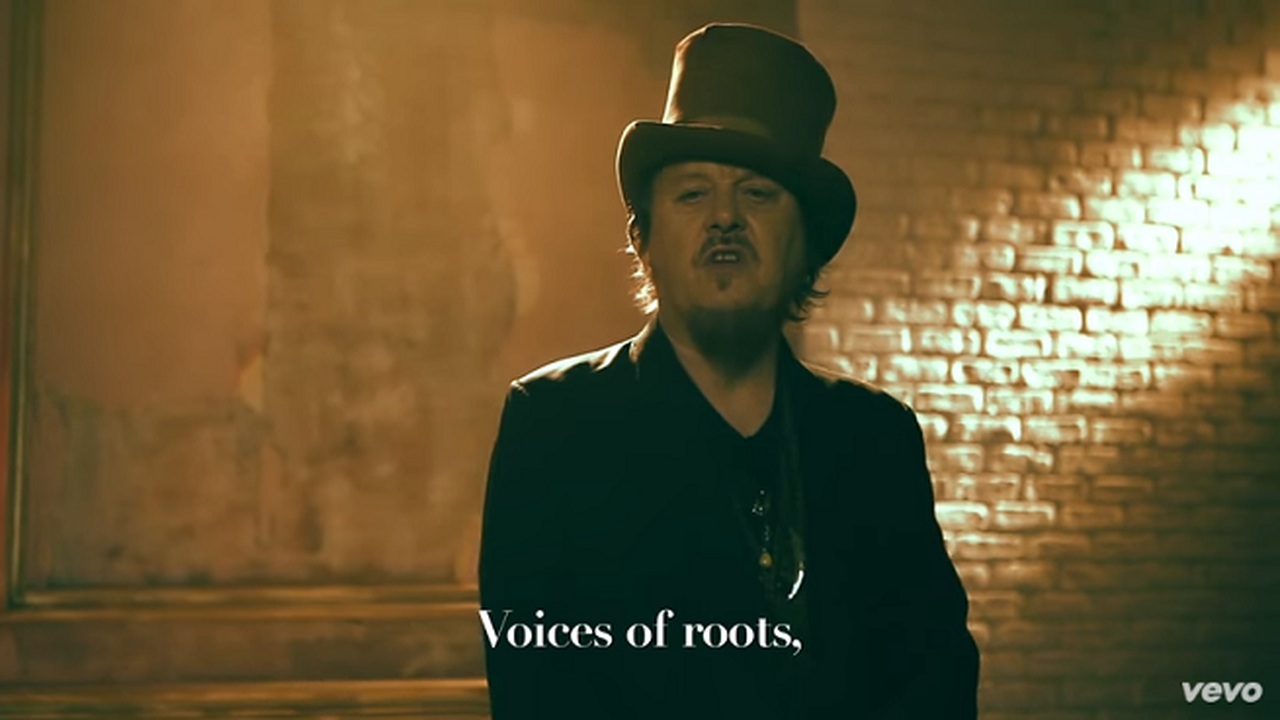 Zucchero, Voci: testo e video