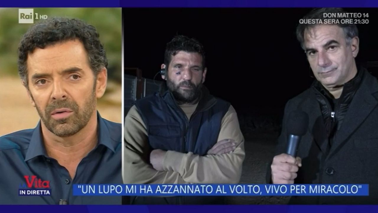 Alberto Matano, gaffe a La Vita in diretta: “In bocca al lupo!” ad un uomo azzannato da un lupo…