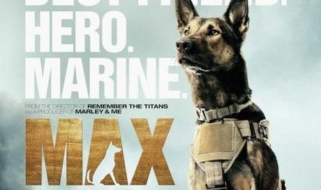 Max: primo trailer del dramma con protagonista un cane soldato diventato eroe
