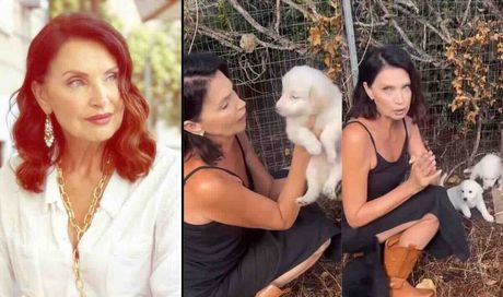 Casa a Prima Vista, Nadia Mayer quasi in lacrime. L’appello per i cuccioli abbandonati: “Ve li porto io a casa, vi prego, chiamatemi”