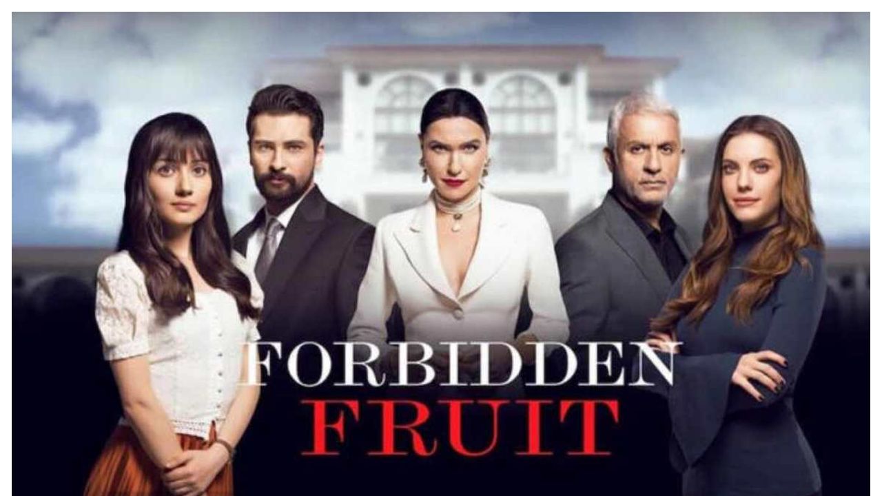 Forbidden Fruit, anticipazioni prima stagione: Tasdemir chiede a Zeynep di sposarlo, la sua reazione