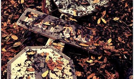 Jurassic World: nuova foto ufficiale, descrizione trailer e rumor sulla trama