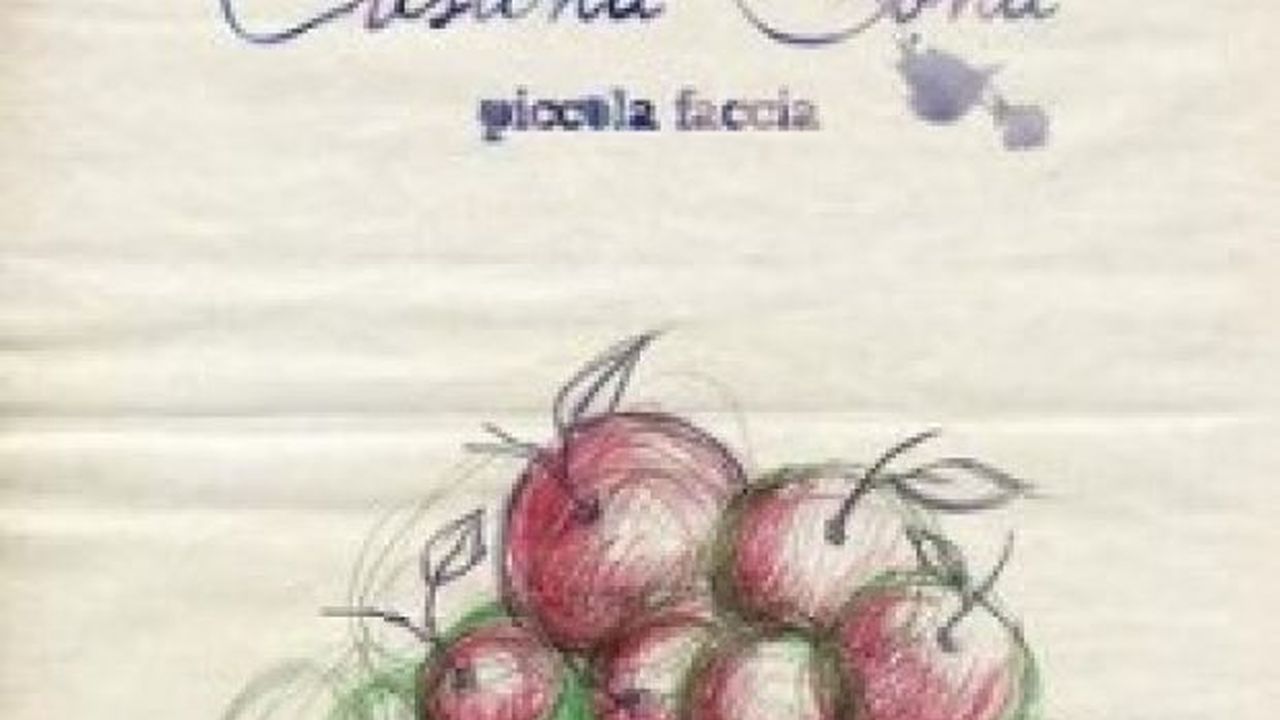 Cristina Donà: nuovo cd acustico e duetto con Giuliano Sangiorgi (Negramaro)