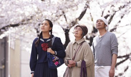 Le ricette della Signora Toku (Naomi Kawase)