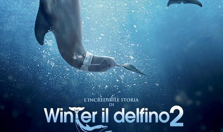 L’incredibile storia di Winter il delfino 2 – locandina italiana del sequel con Morgan Freeman