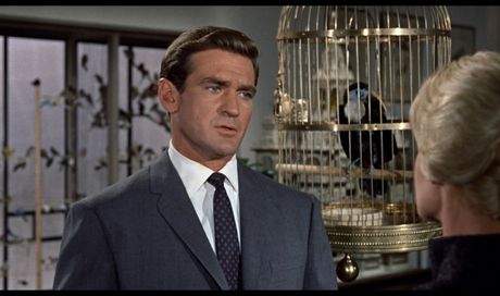 E’ morto Rod Taylor, famoso per “Gli Uccelli”