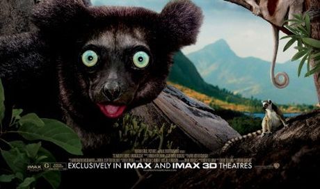 Island of Lemurs: Madagascar – poster del documentario in 3D narrato da Morgan Freeman