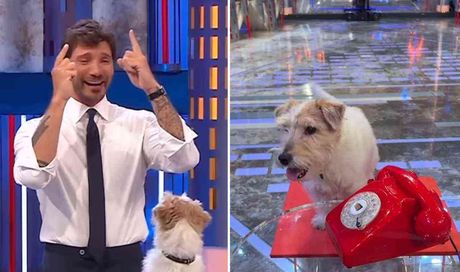 Il retroscena su Affari Tuoi: “Perché De Martino ha scelto proprio Gennarino”