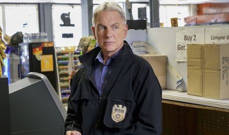 Ncis 14