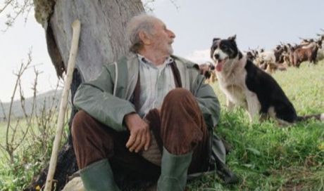 Le quattro volte: il regista Michelangelo Frammartino e il cane Vuk incontrano il pubblico di Milano