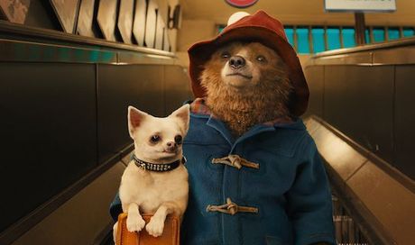 Film 2016-2017:  Paddington 2 e Pitch Perfect 3, regie confermate per Paul King ed Elizabeth Banks