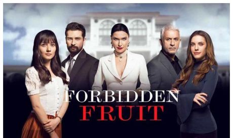 Forbidden Fruit, anticipazioni prima stagione: Tasdemir chiede a Zeynep di sposarlo, la sua reazione